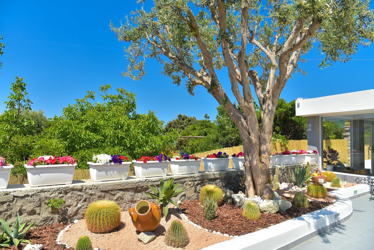 Hotel Mareco Resort Ischia Island Dış mekan fotoğraf